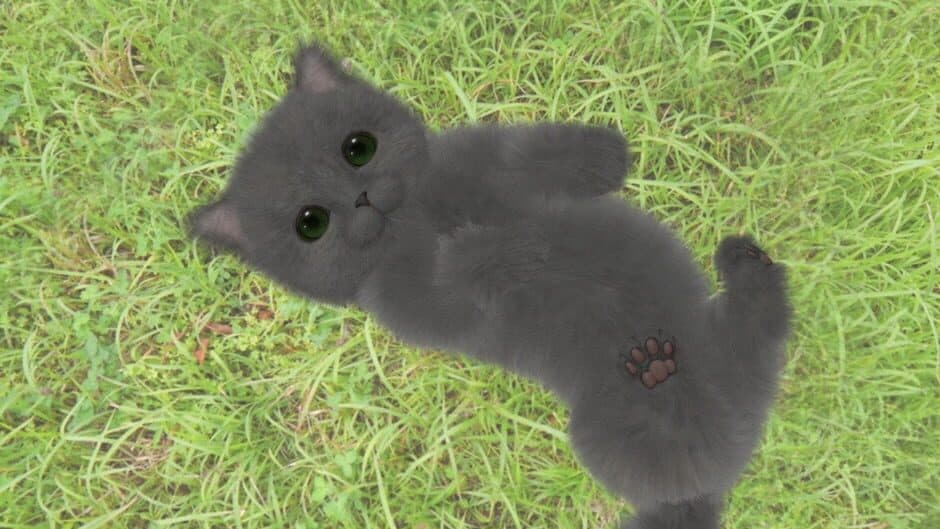 Aabs Animals screenshot