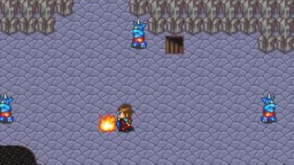 Neutopia screenshot