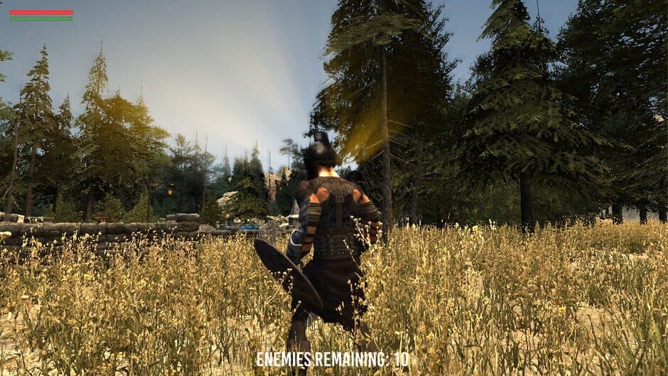 Barbarian Souls screenshot