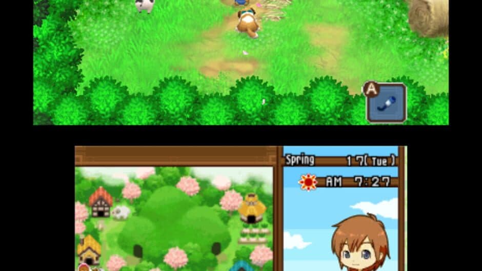 Harvest Moon: The Tale of Two Towns screenshot