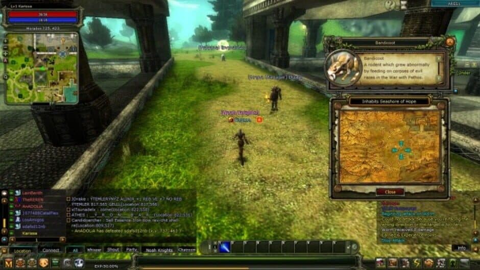 Knight Online screenshot
