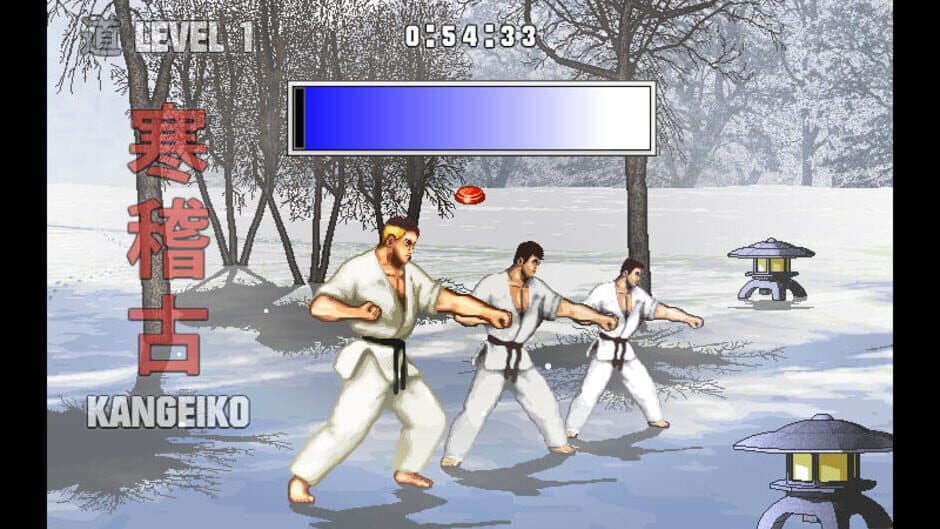 Karate Master Knock Down Blow screenshot