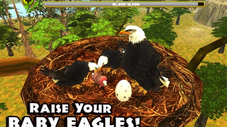 Eagle Simulator screenshot