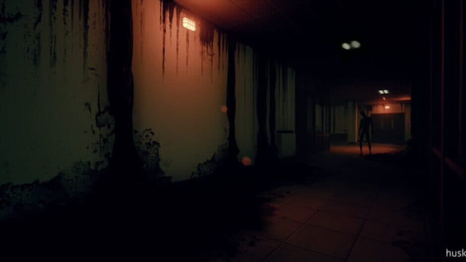 Husk screenshot