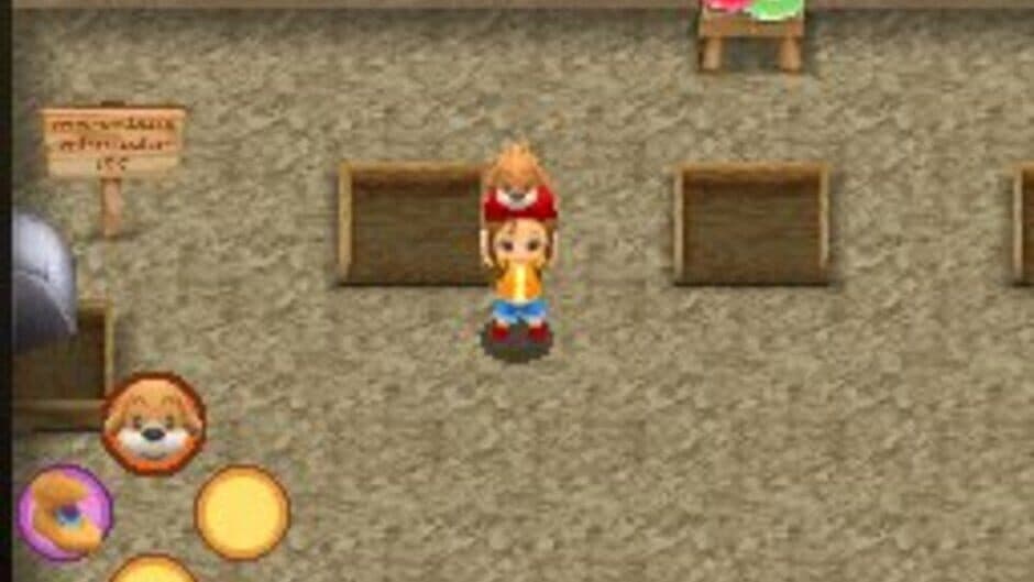 Harvest Moon DS: Sunshine Islands screenshot