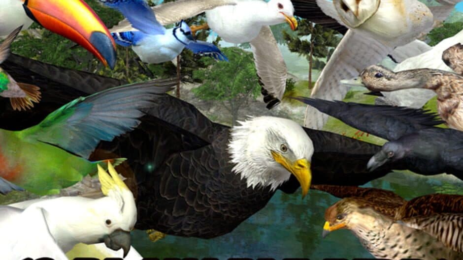 Ultimate Bird Simulator screenshot