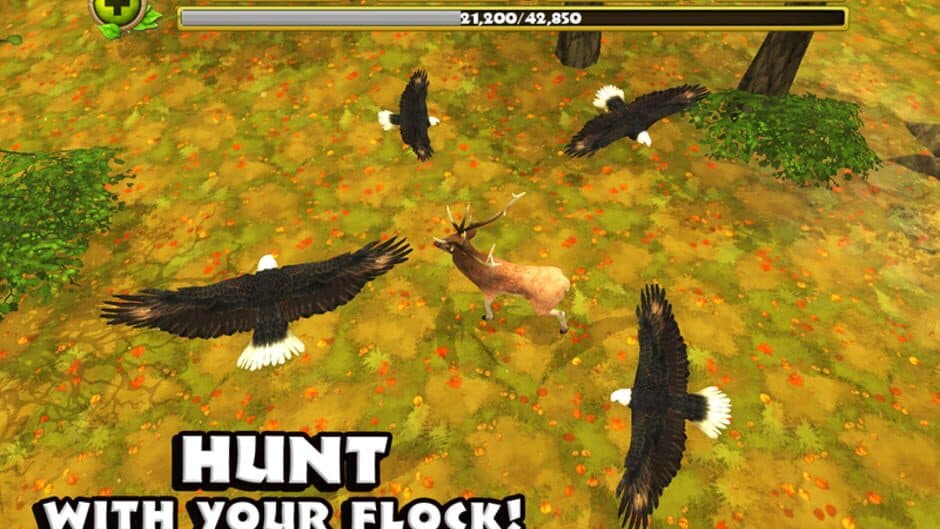 Eagle Simulator screenshot