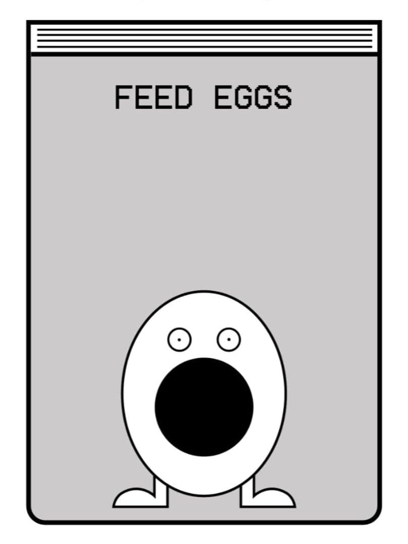 Feed Eggs