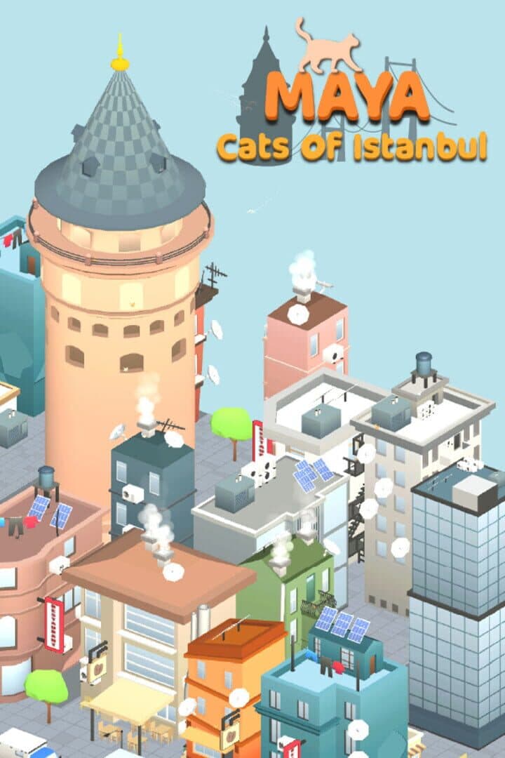 Maya: Cats of Istanbul
