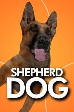 Shepherd Dog