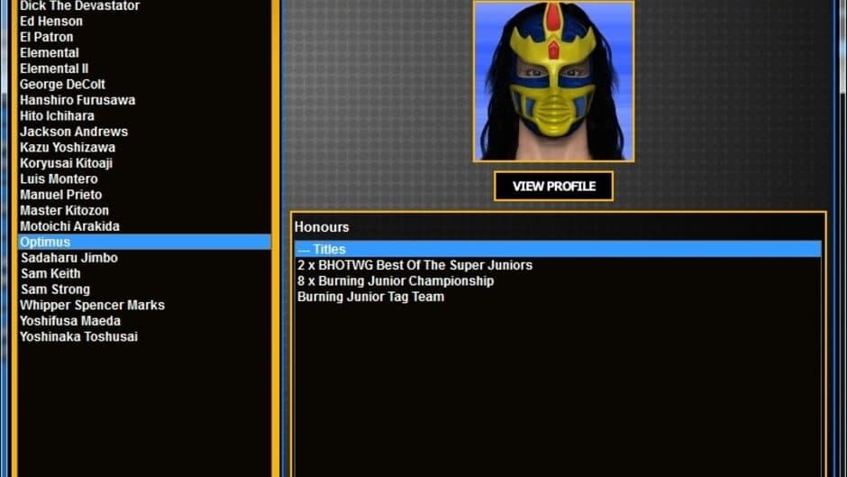 Total Extreme Wrestling 2013 screenshot
