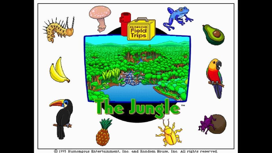 Let's Explore the Jungle screenshot