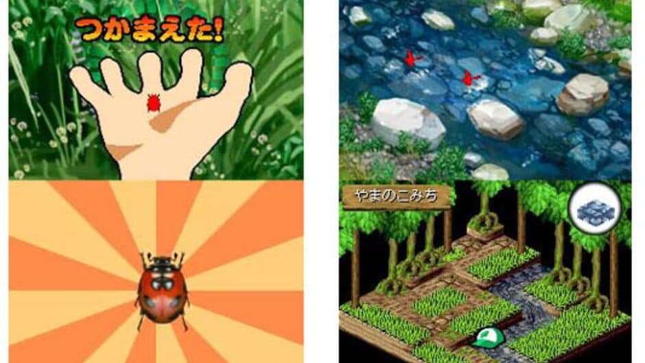 Beetle King screenshot