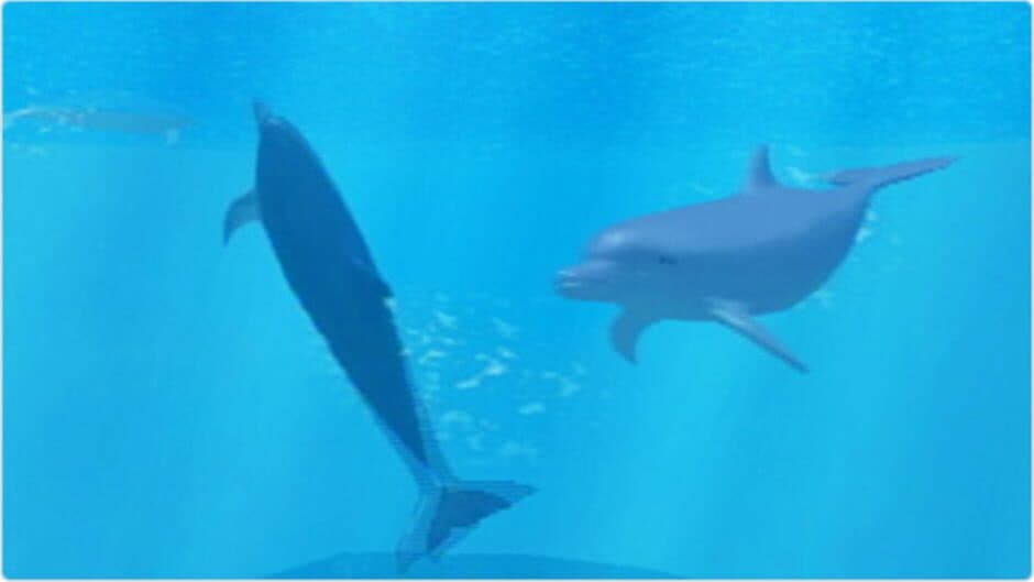 My Dolphin screenshot