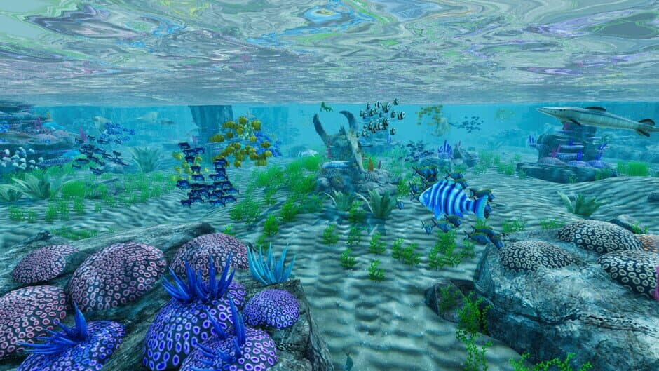 Fisherones screenshot