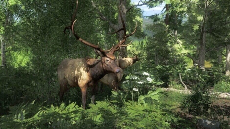 TheHunter Classic screenshot