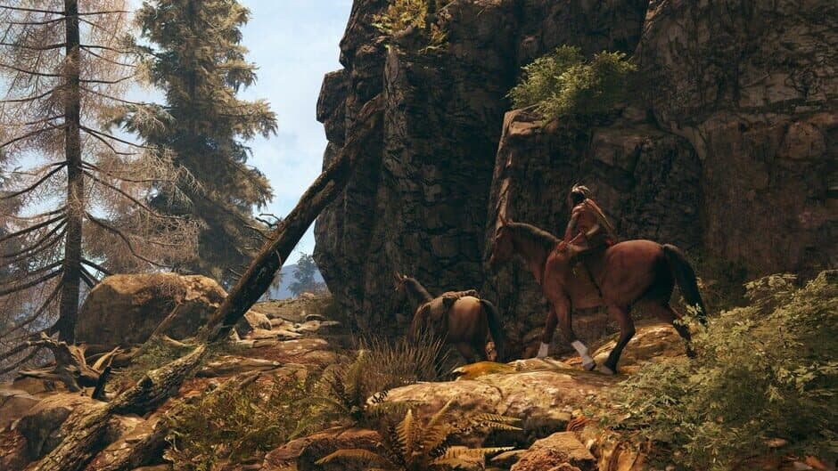 This Land Is My Land screenshot