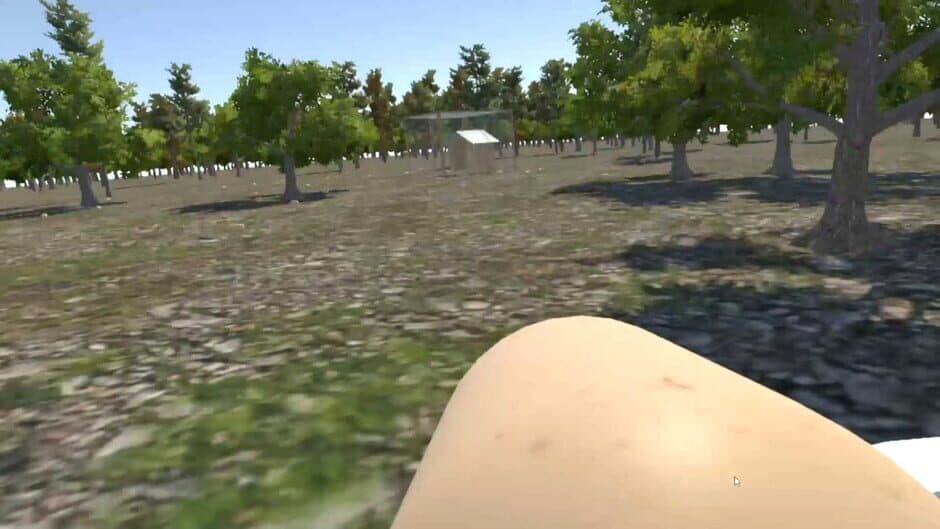 Chicken VR screenshot