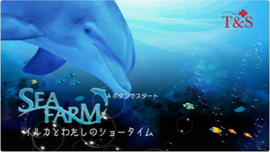 My Dolphin screenshot
