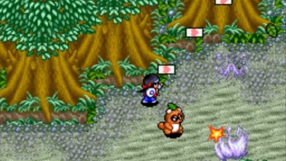 Pocky & Rocky 2 screenshot
