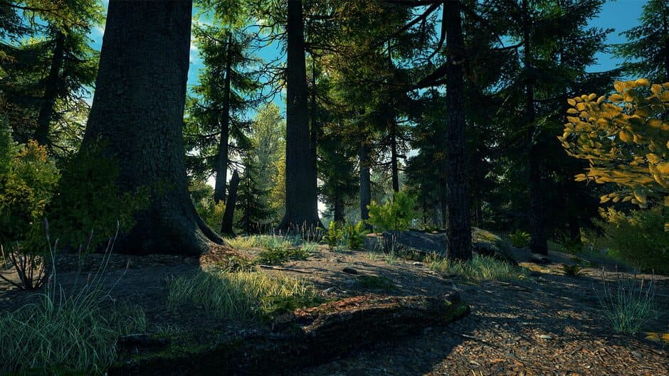 Vestige of the Past screenshot