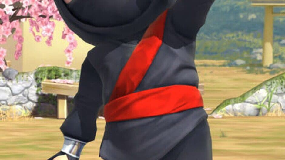 Clumsy Ninja screenshot