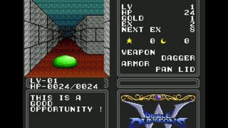 Double Dungeons screenshot