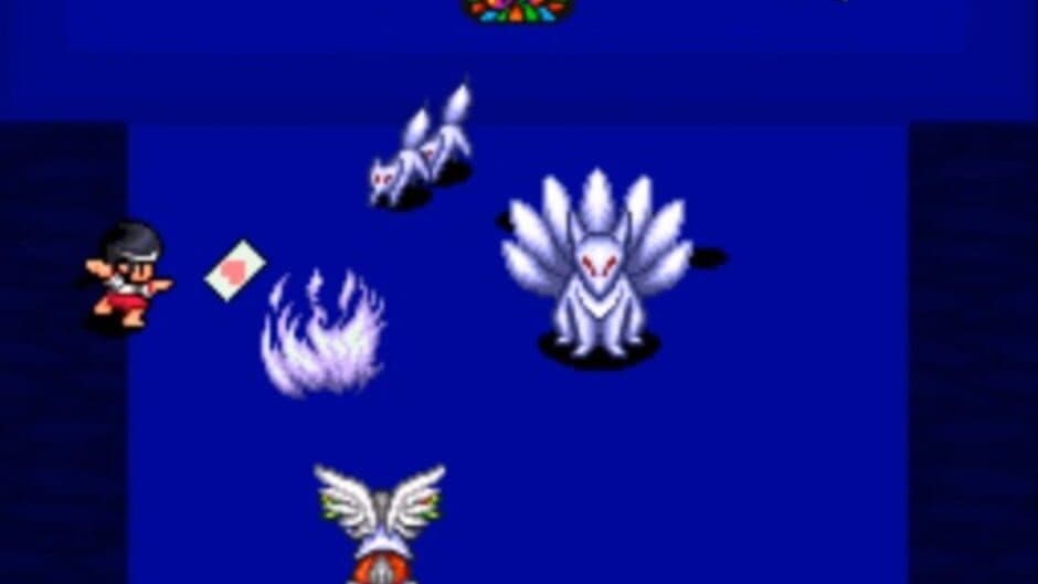Pocky & Rocky 2 screenshot