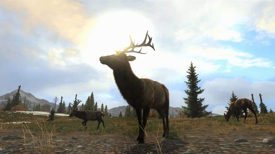 Cabela's Big Game Hunter: Pro Hunts screenshot