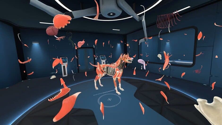Animal Anatomy VR screenshot