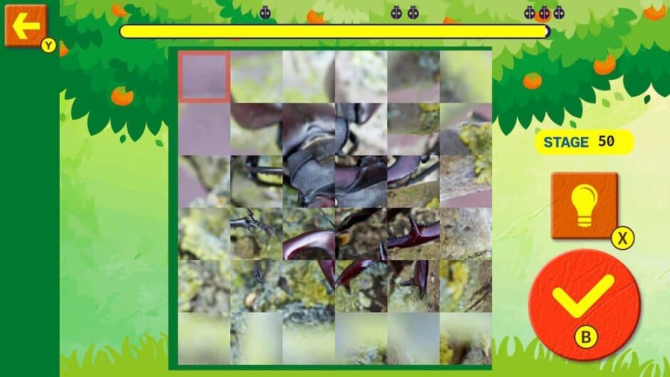 Brain Workout! Spinning Insect Puzzle screenshot