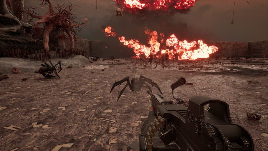 Bonetox screenshot