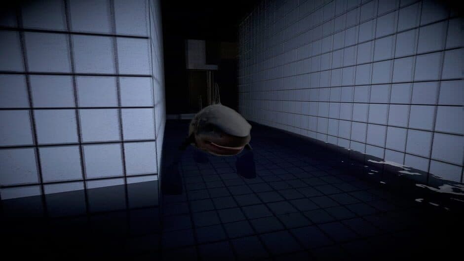 Brainrot & Tung Collection 5 in 1 screenshot