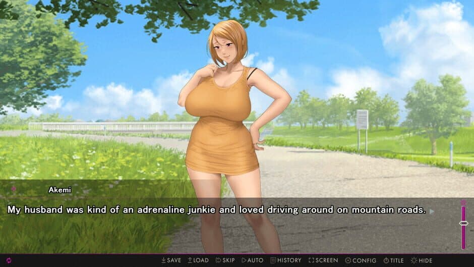 Afternoon Affairs & Helpless Housewives screenshot