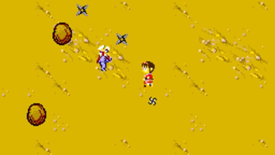 Sega Ninja screenshot