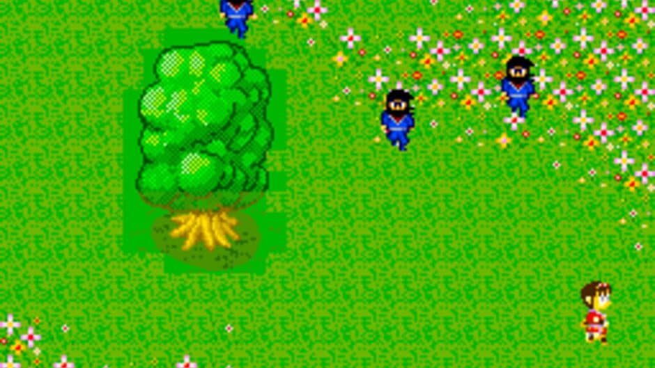 Sega Ninja screenshot
