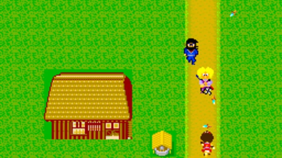 Sega Ninja screenshot