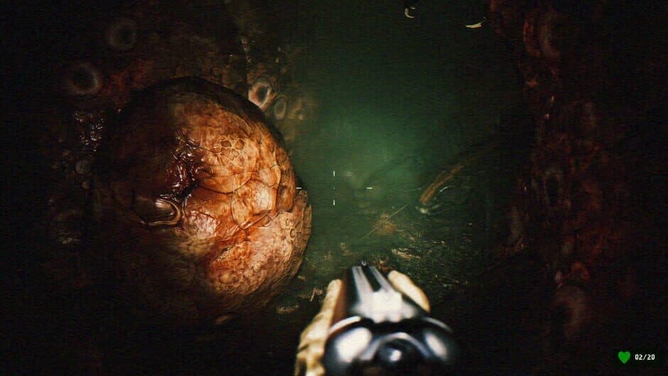 Gutted: Infested Crypts screenshot