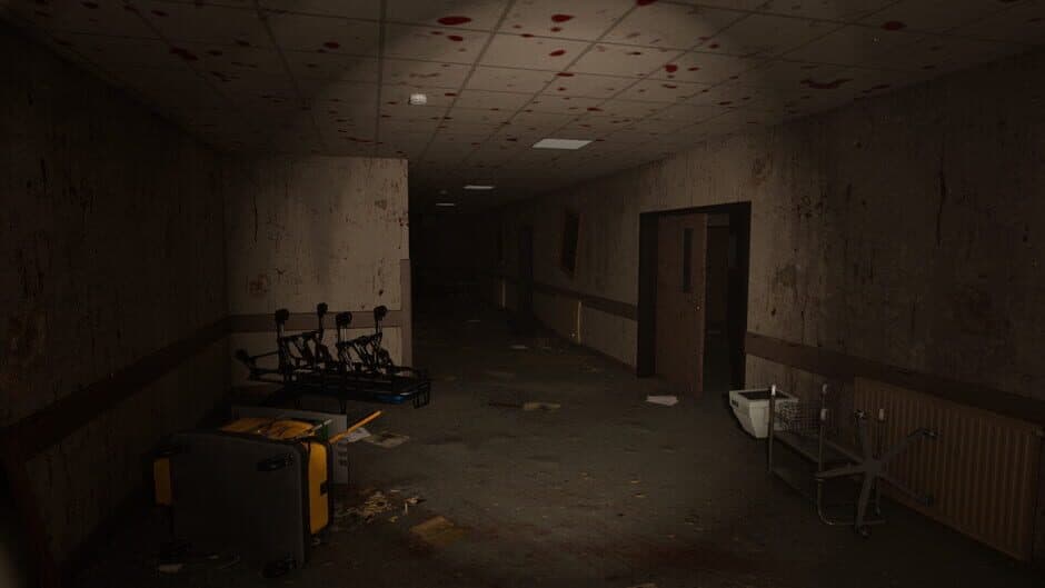 The Cursed Ward screenshot