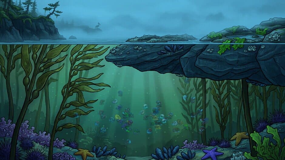 Molluscarium screenshot