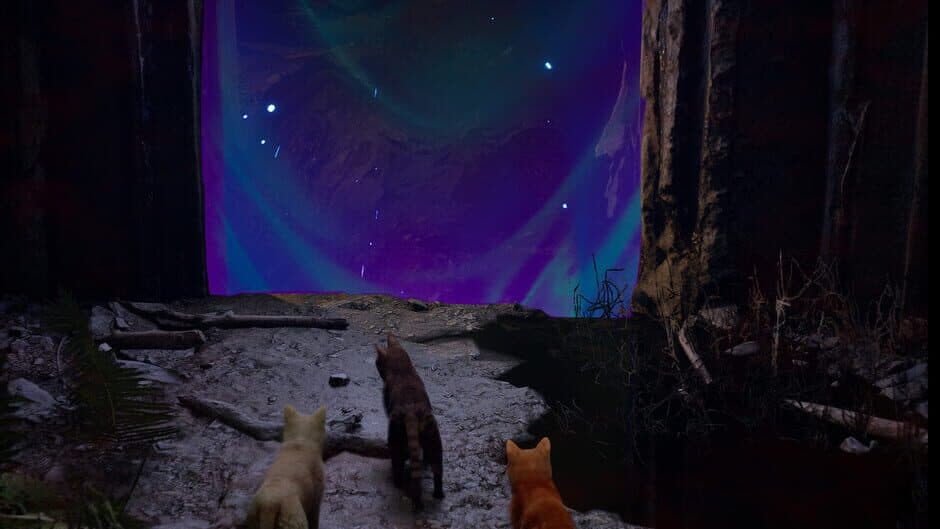 Meowmories screenshot
