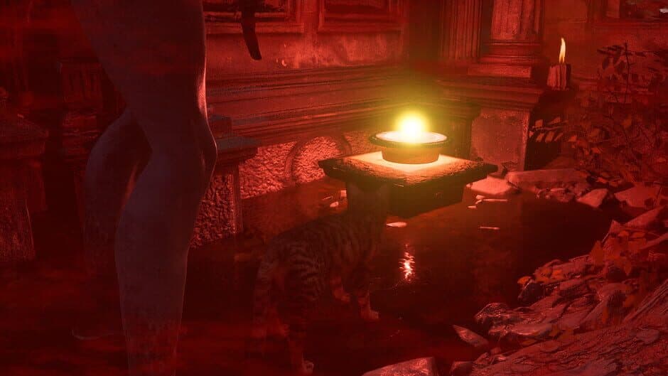 Meowmories screenshot