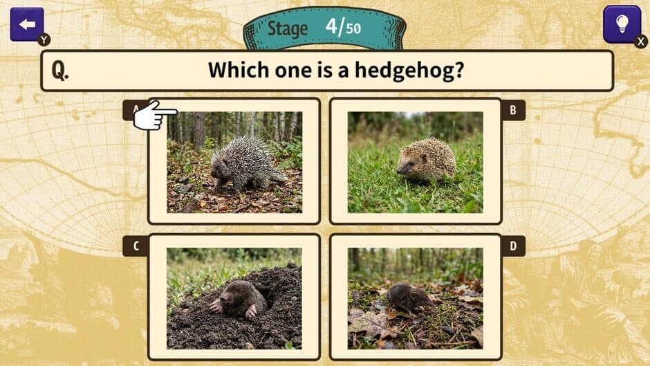 Can You Make the Cut? Worldwide Common Sense Check screenshot