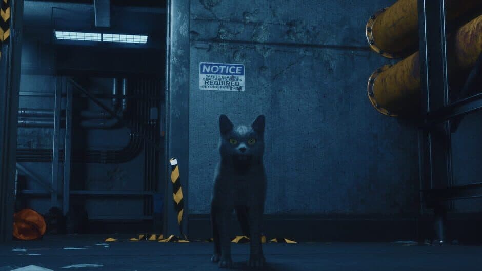 DarkRay screenshot