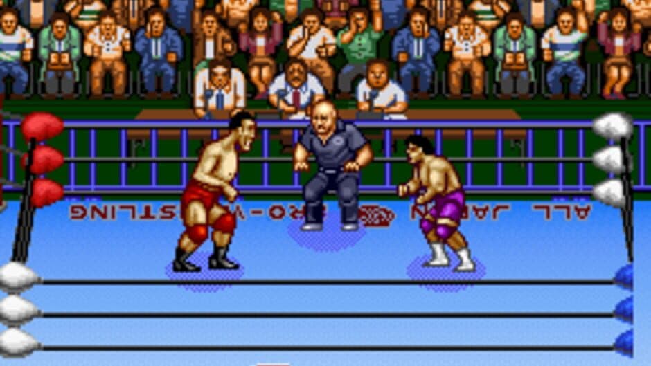 Zen-Nippon Pro Wrestling screenshot