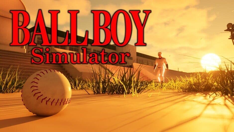 Ball Boy Simulator screenshot