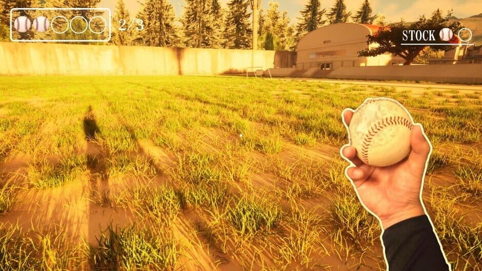 Ball Boy Simulator screenshot