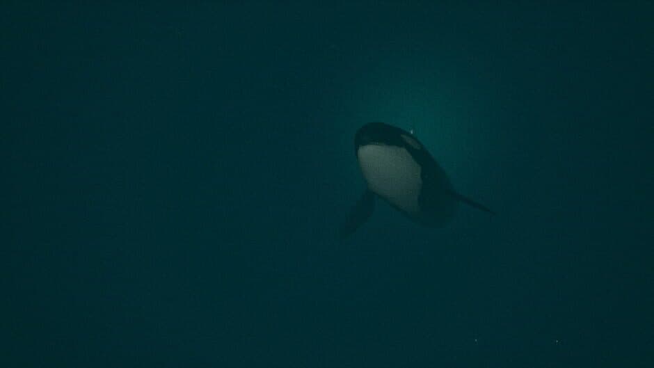 Dark of the Depths screenshot