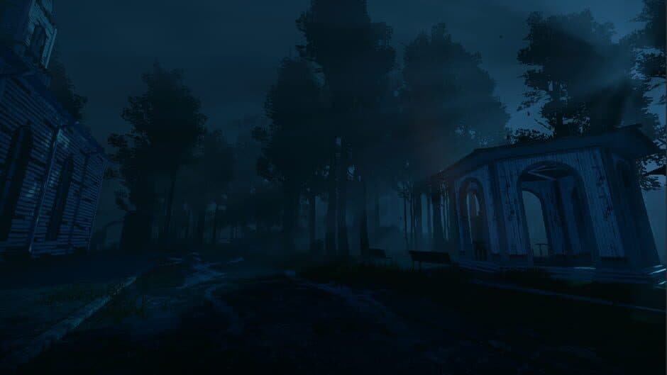 Nightwalk screenshot