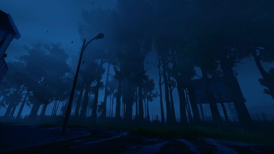 Nightwalk screenshot
